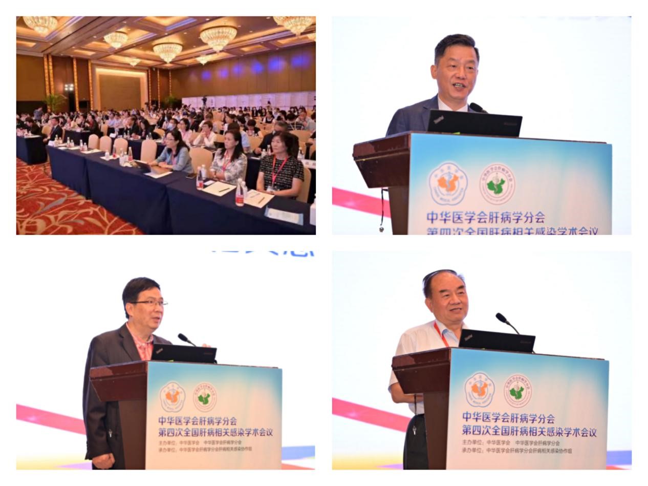 聚焦學(xué)術(shù)前沿，共迎肝病防治新征程！福瑞股份以學(xué)術(shù)助力中醫(yī)藥發(fā)展